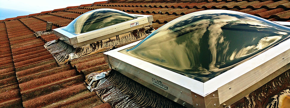 Ikaika Puulani Skydomes